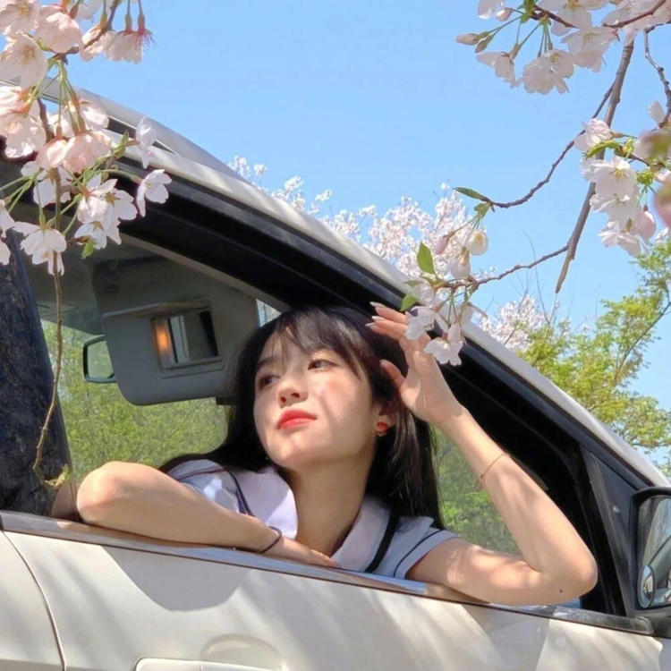 上田茂 - 国产剧全集免费在线观看 - 手机追剧